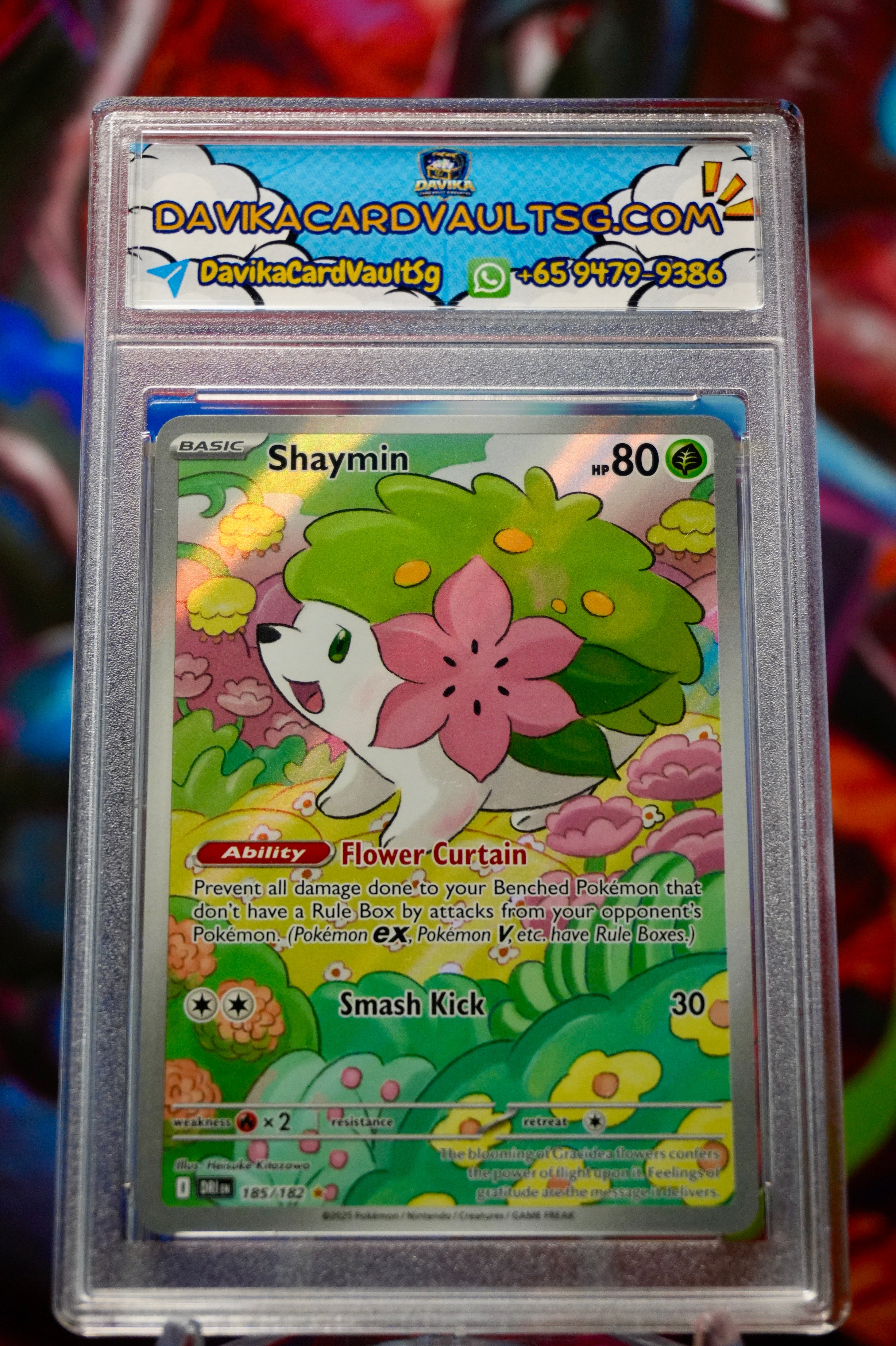 Shaymin #185 AR English